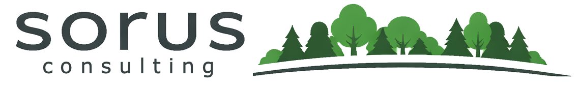 Sorus Consulting